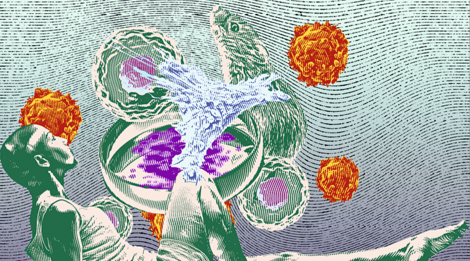 Illustratie (kleur) tumor-organoïden