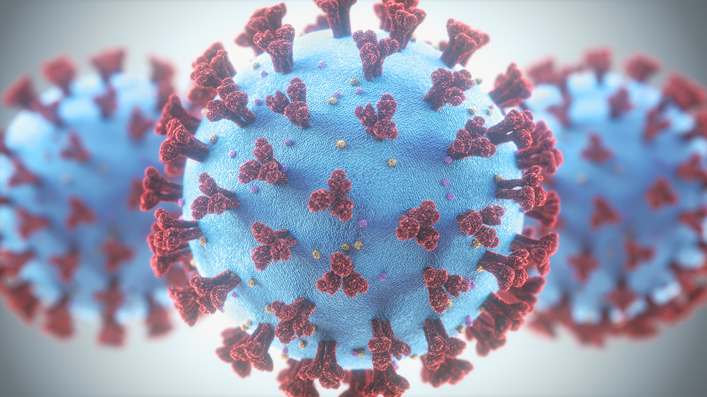 Microscopische foto (kleur) COVID-19 virus