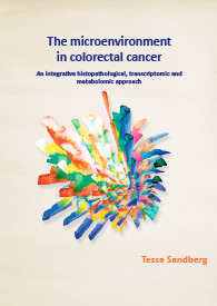 Cover (kleur) proefschrift Tessa Sandberg